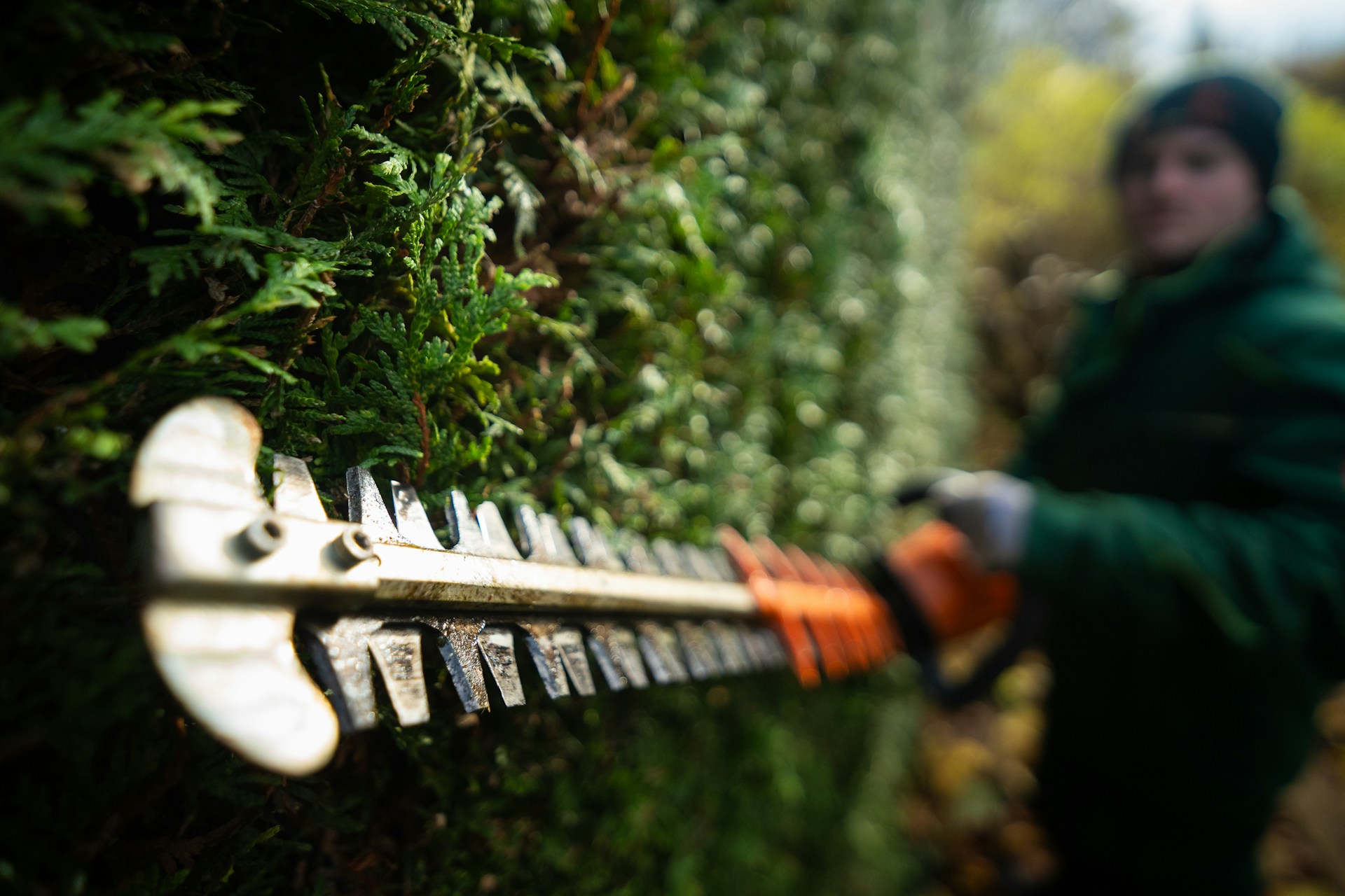 Why Landscapers Are Ditching Missed Calls for AI Receptionists (And Booking More Jobs Than Ever)
