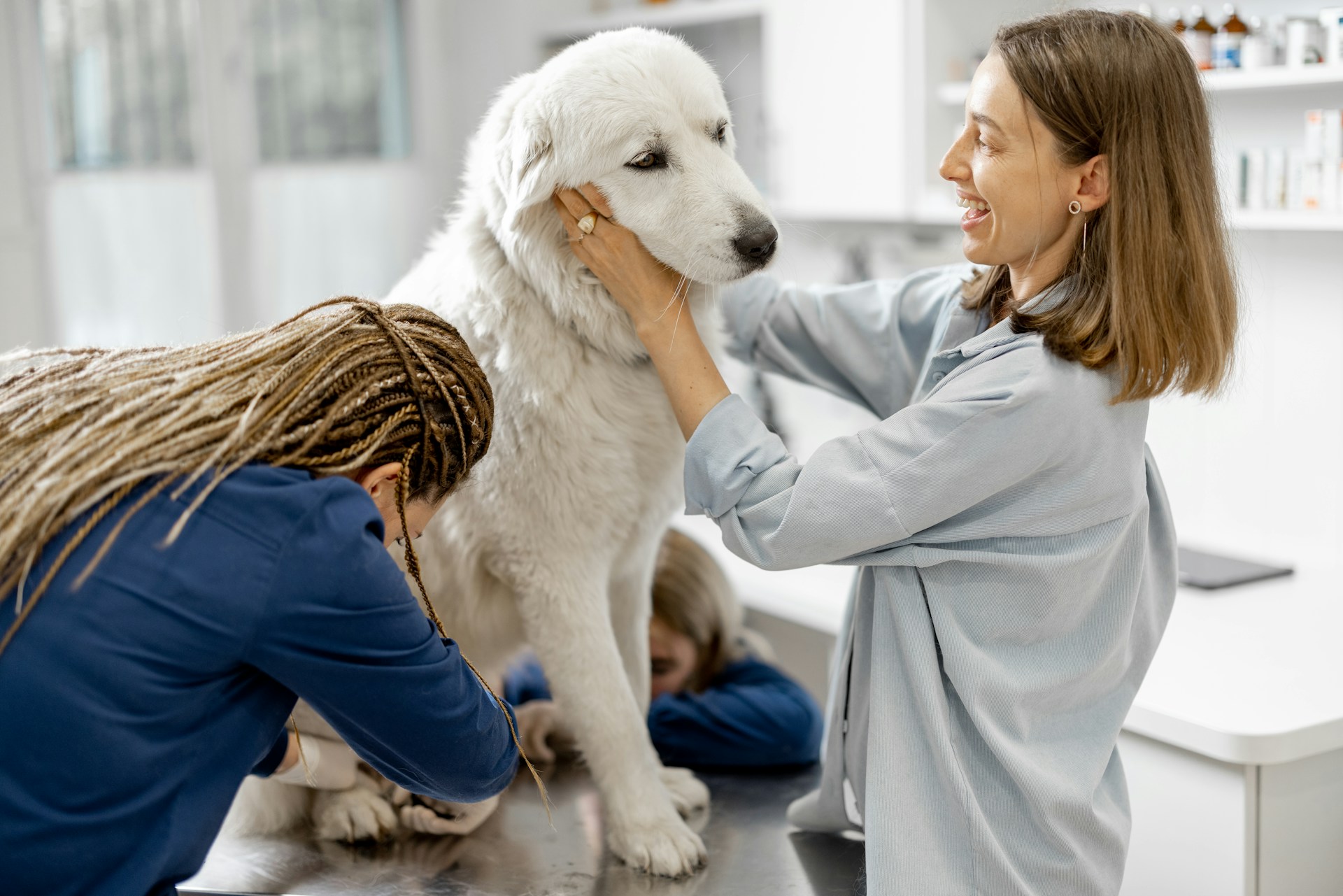 How Small Pet Grooming Businesses Can Thrive with Greet's AI Receptionist